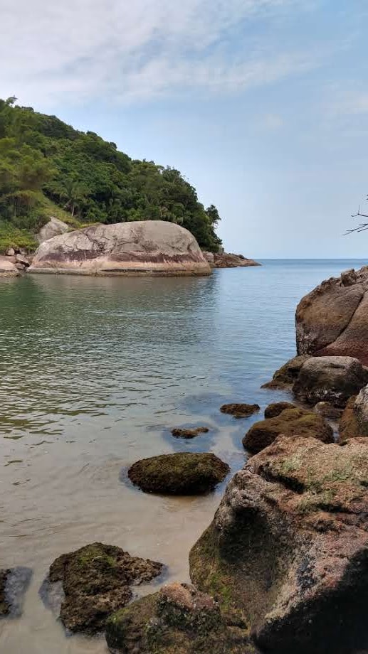 Canoa havaiana no Guaruja passeio a praia isolada 1 foto Turelo