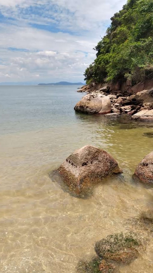 Canoa havaiana no Guaruja passeio a praia isolada 4 foto Turelo