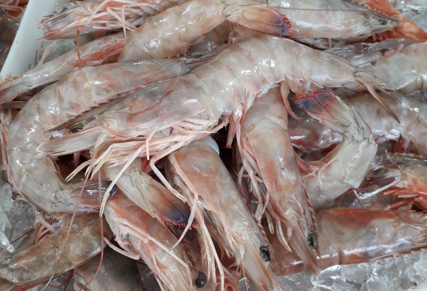 O papel da gastronomia na promocao do Guaruja 8 foto Claudio Schapochnik Que Gostoso