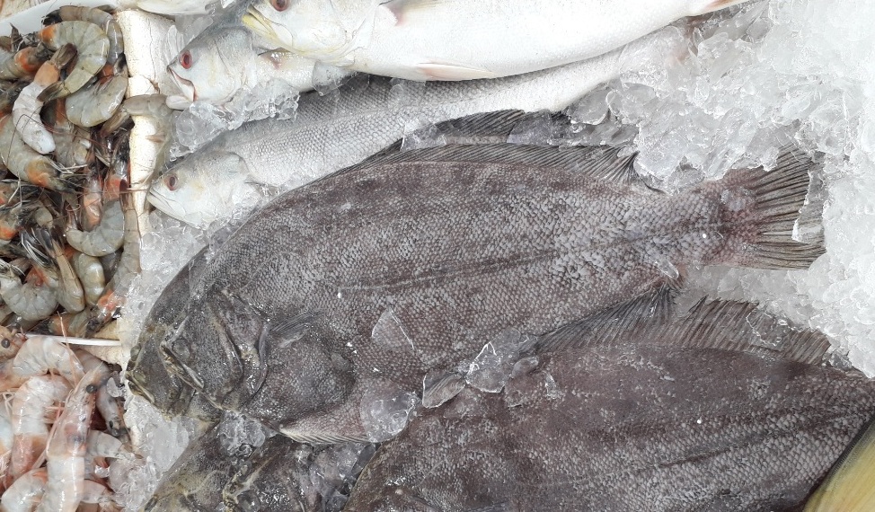 O papel da gastronomia na promocao do Guaruja 9 foto Claudio Schapochnik Que Gostoso