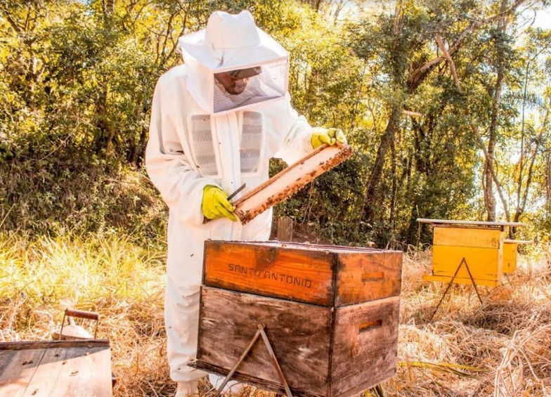 Apiário em Atibaia SP recebera turistas 2 foto divulgacao