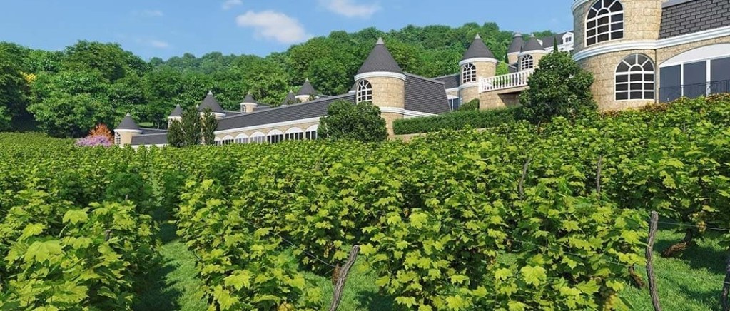 França inspira 1º resort em vinícola no Brasil