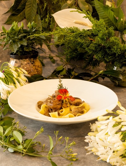 Casa traz novo menu vegano em Campos do Jordão 1 Foto Luis Felipe AP2