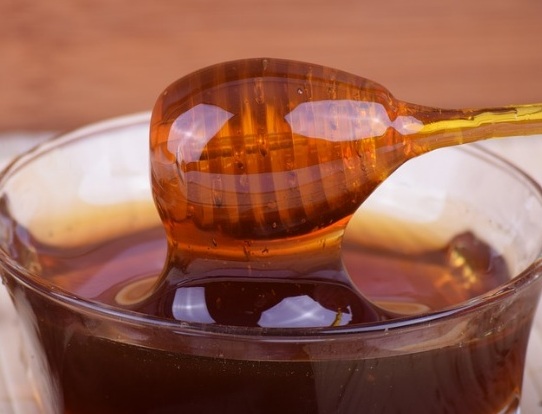 Mel do Norte mineiro recebe Indicação Geográfica Foto generica 4 Pixabay