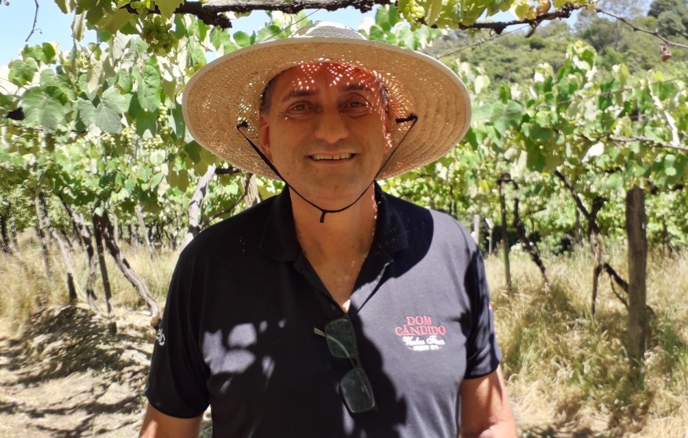 Passeio de trator conta historia de vinícola gaucha 3 Foto Claudio Schapochnik Que Gostoso