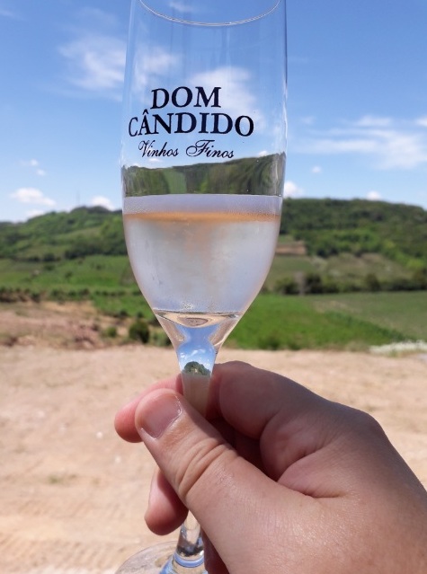 Passeio de trator conta historia de vinícola gaucha 6 Foto Claudio Schapochnik Que Gostoso