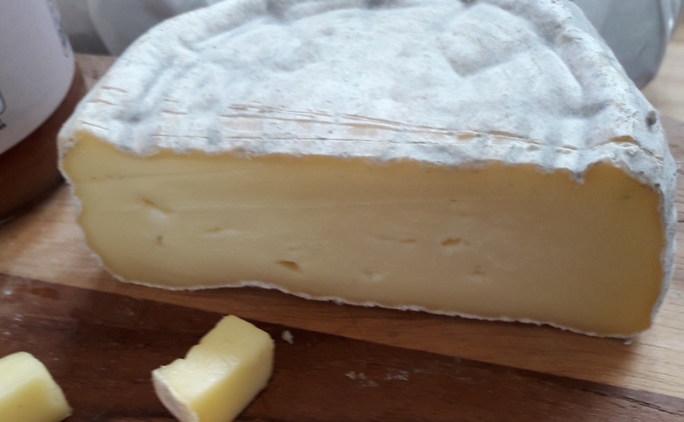 Bela Fazenda SP fabrica extraordinários queijos 6 Foto Claudio Schapochnik Que Gostoso