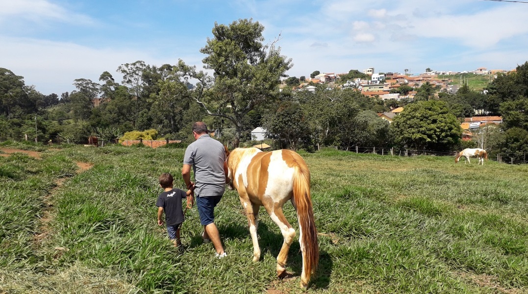 Cavalgada Pardinho: vivência garante ótimo passeio Foto Claudio Schapochnik Que Gostoso 6