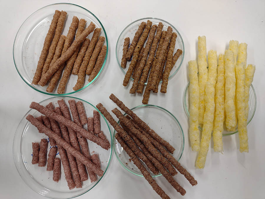 Embrapa produz snack sem glúten de sorgo e cúrcuma Foto Kadijah Suleiman 1