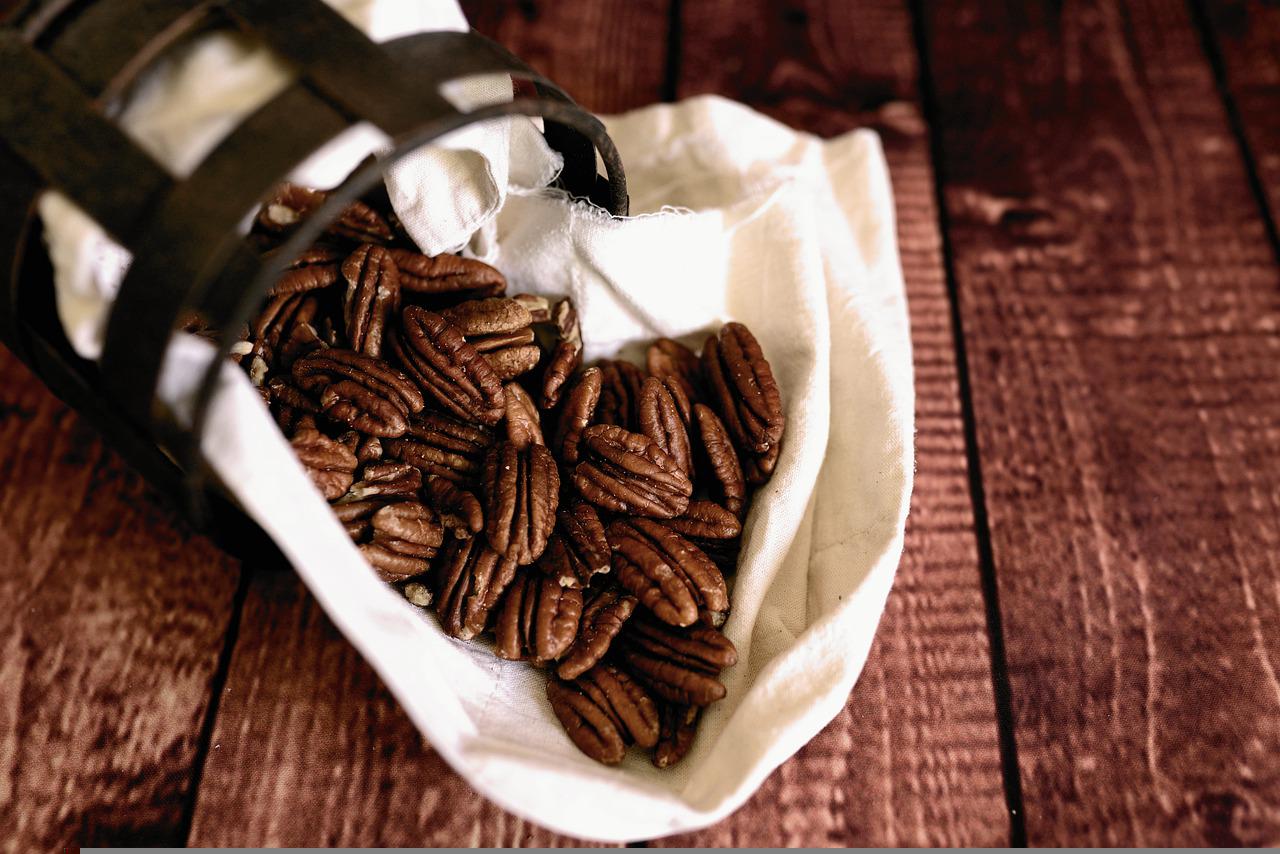 Pecanita produz noz pecan doce, salgada e óleo Foto Congerdesign_Pixabay