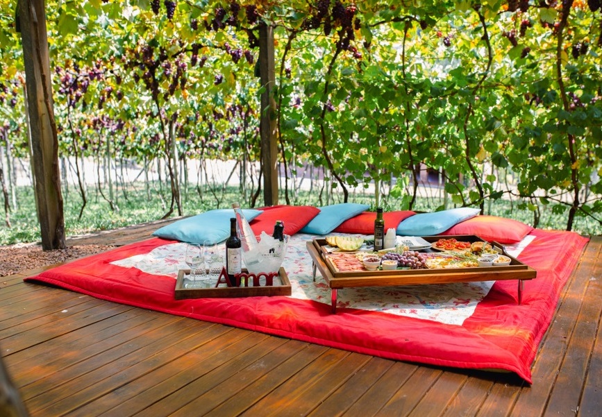 Vinícola Cristofoli (RS) construirá restaurante Foto Divulgação Cristofoli 5