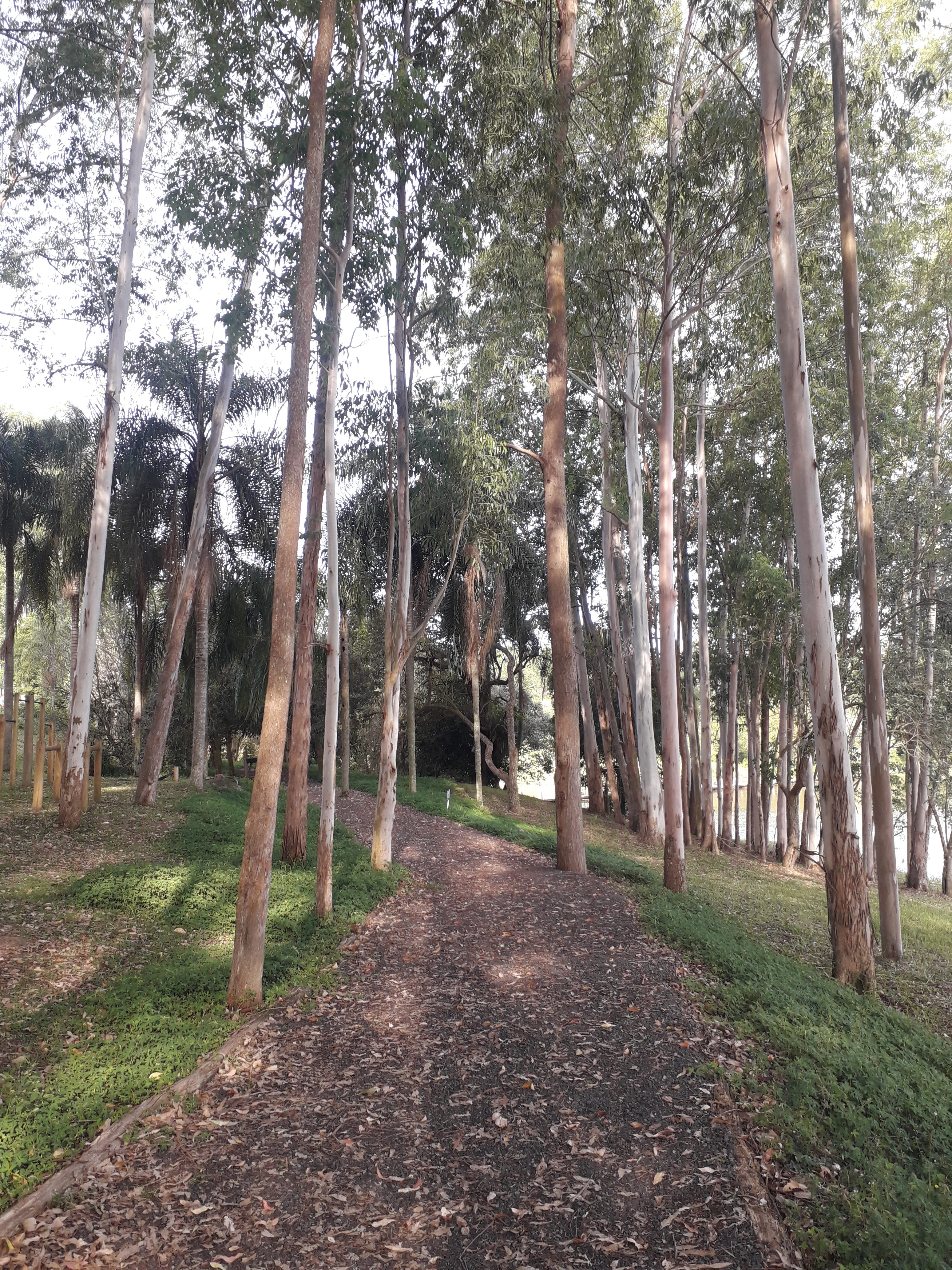 Pardinho tem receptivo para hospedagem e passeios Foto Claudio Schapochnik Que Gostoso 2