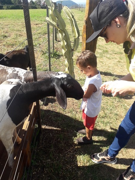 Pedra do Índio une natureza exuberante e ótimos salgados Foto Claudio Schapochnik Que Gostoso 18