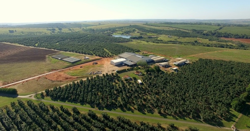 Sr. Guaca é excelente guacamole para iniciantes Foto Divulgação 3